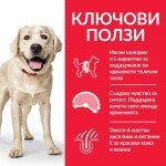 Hill’s Science Plan Canine Adult Light Lаrge Breed с пилешко - Пълноценна суха храна за кучета от едри породи над 25кг, с понижени енергийни нужди, на възраст от 1 до 5 години - 12+2кг. Hill’s Science Plan Canine Adult Light Lаrge Breed с пилешко - Пълноценна суха храна за кучета от едри породи над 25кг, с понижени енергийни нужди, на възраст от 1 до 5 години - 12+2кг.