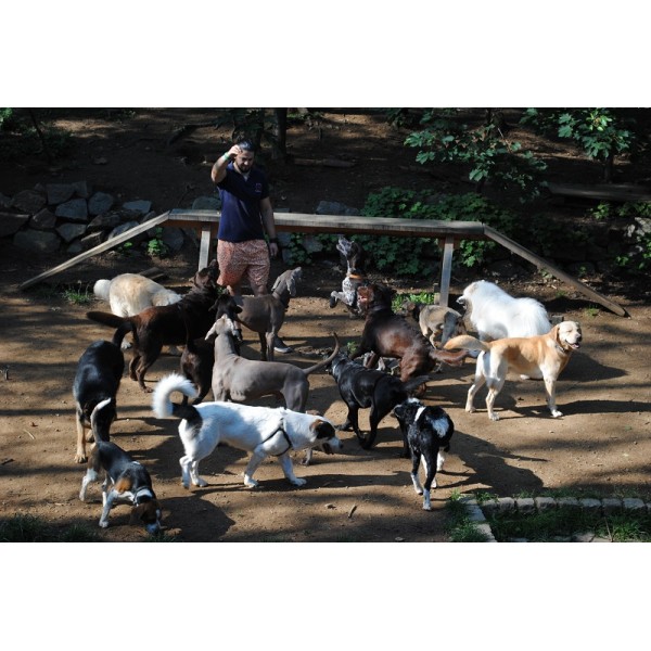 Хотел за кучета Hubba Hubba Pets Dog Hotel Хотел за кучета Hubba Hubba Pets Dog Hotel