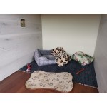 Хотел за кучета Pets Heaven Hotel Хотел за кучета Pets Heaven Hotel