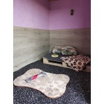 Забавачка за кучета Pets Heaven Hotel Забавачка за кучета Pets Heaven Hotel