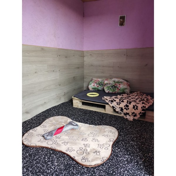 Забавачка за кучета Pets Heaven Hotel Забавачка за кучета Pets Heaven Hotel