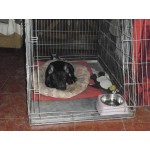 Хотел за кучета Trifonov Land Dog Hotel